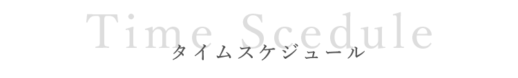 タイムスケジュール