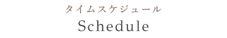 タイムスケジュール